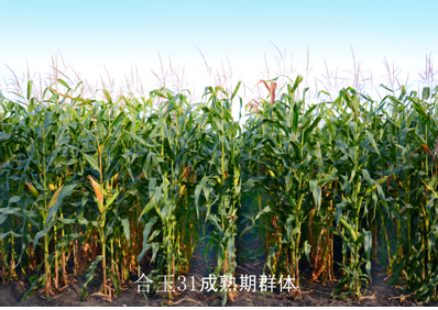 微信图片_20221107101529.png