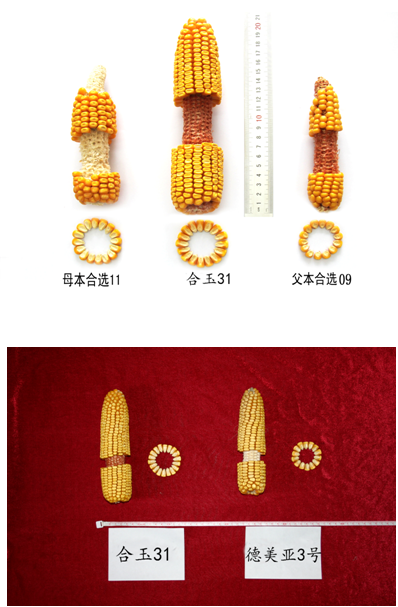 微信图片_20221107101611.png