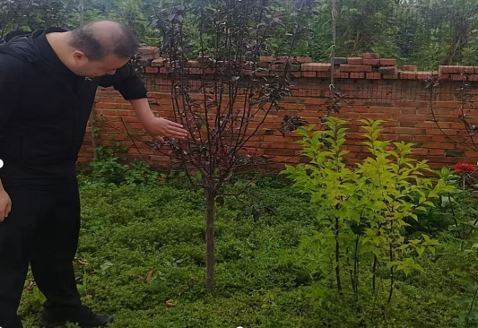 微信图片_20251209090018.png 微信图片_20251209090018.png